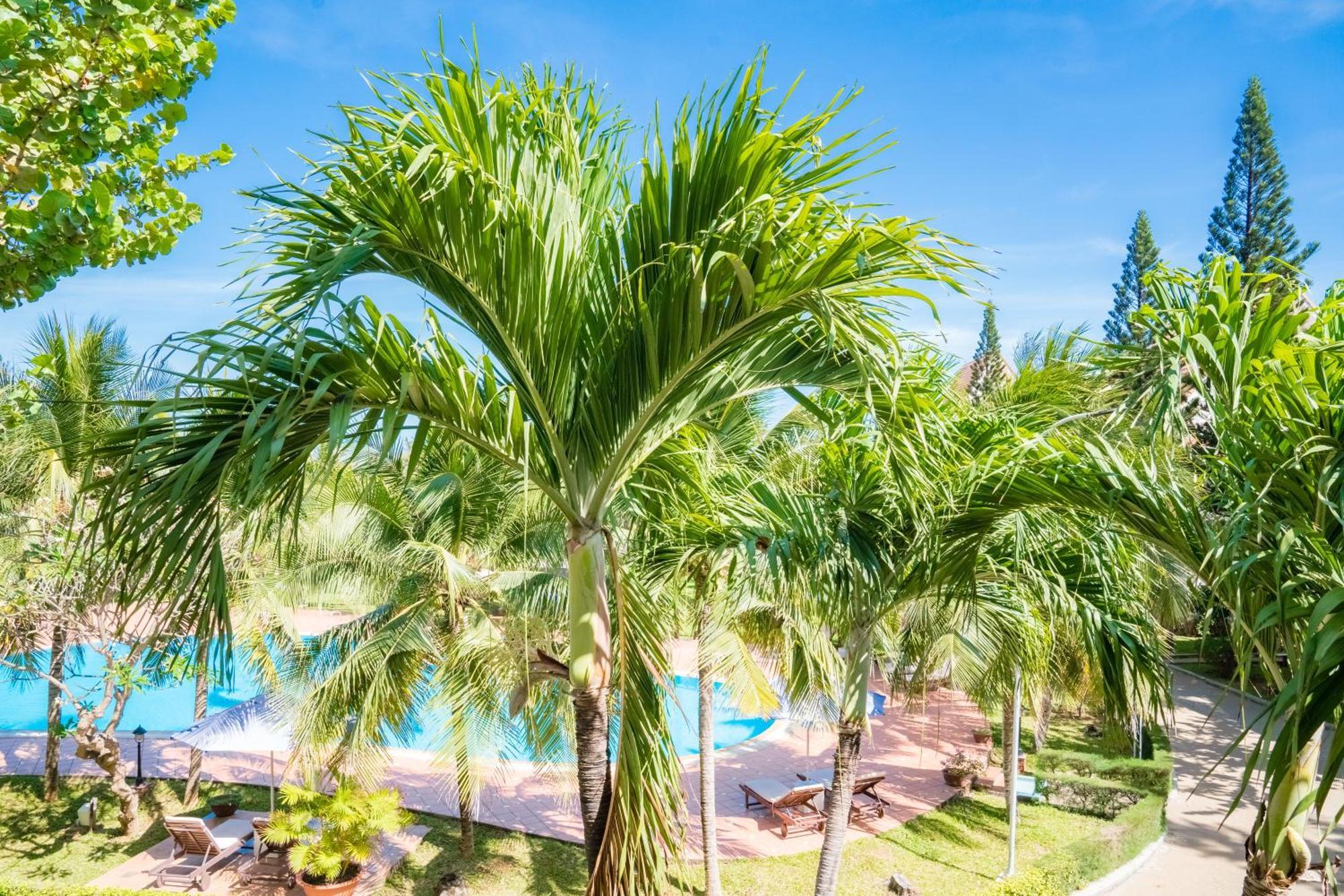 Lotus Vung Tau Resort & Spa Eksteriør bilde